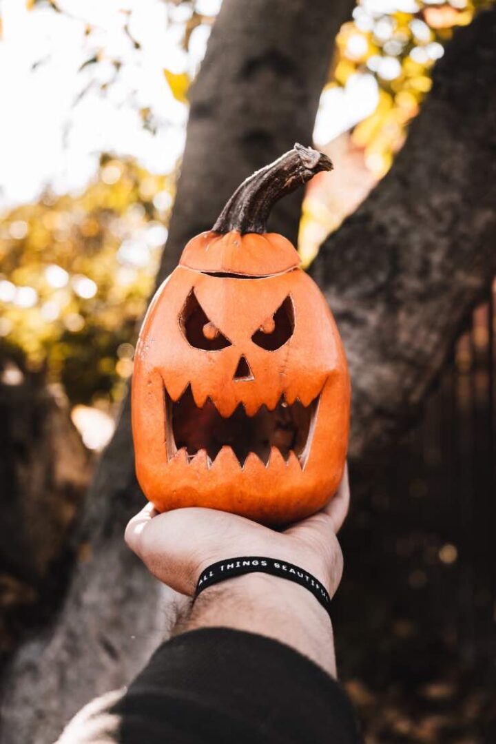 Easy & Scary Jack-O-Lantern Faces Anyone Can Carve! • The Budget Decorator