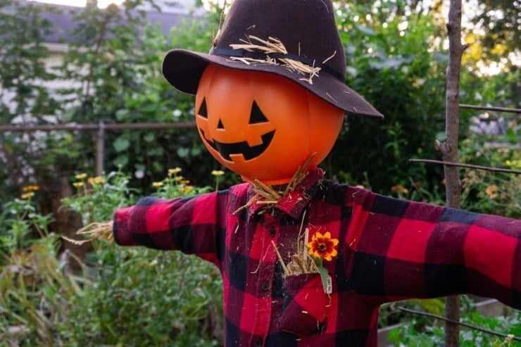 DIY scarecrow with a jack-o-lantern head, straw hat, plaid shirt, and jeans in the garden.