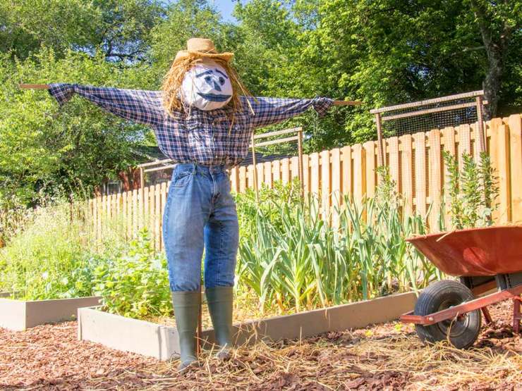 DIY scarecrow couple with painted pillowcase faces, hats, and colorful clothes in a fall garden.